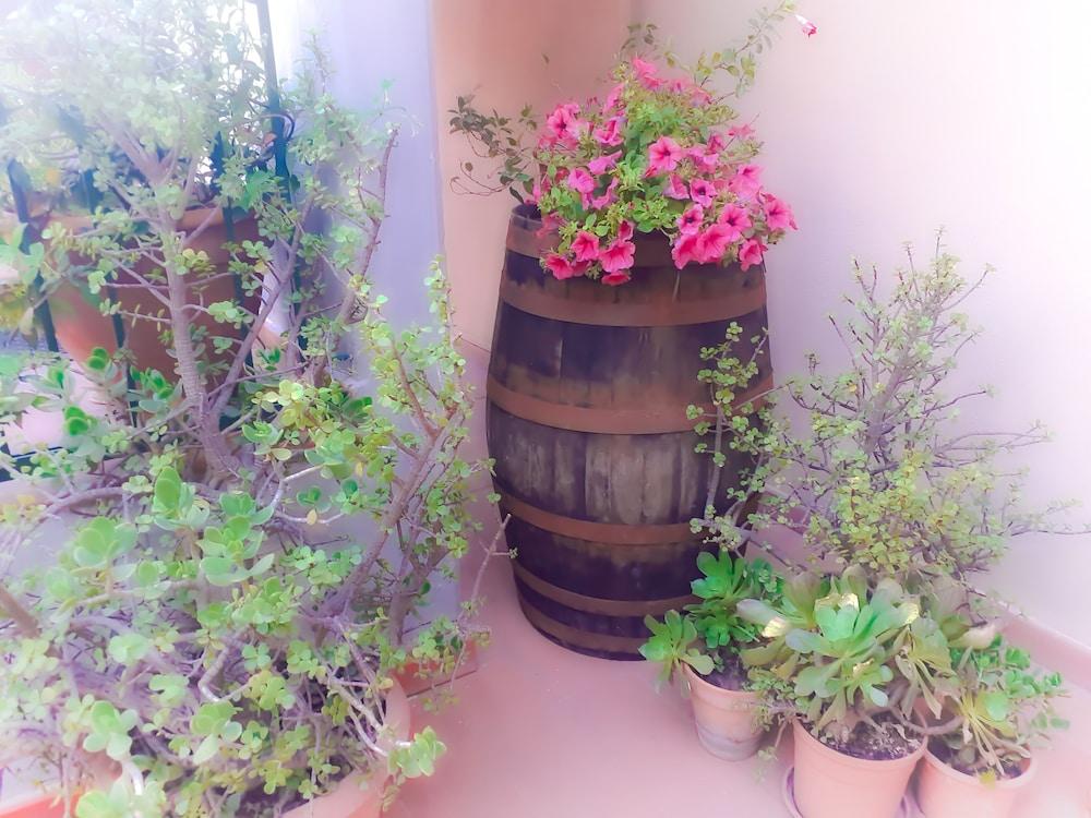 Bed And Breakfast Rosangela 타오르미나 외부 사진